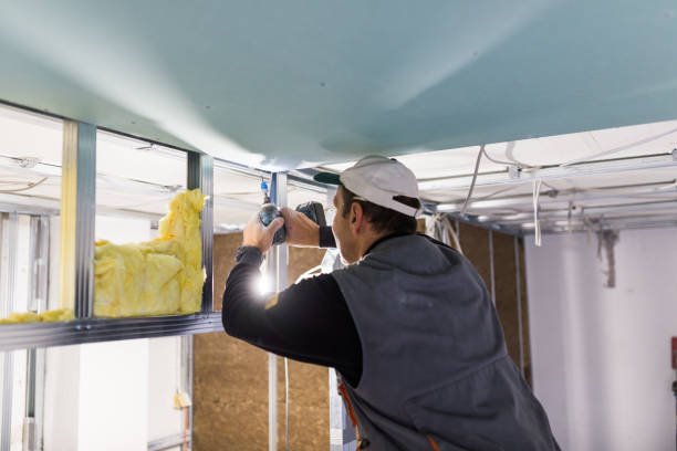 Best Specialized Insulation Services in Ozark, AL